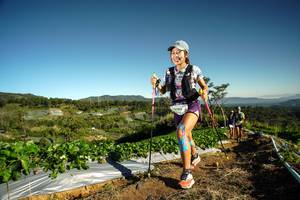 BIB: 9780
                            <button type="button" onclick="openModal(19120464)" class="btn btn-primary btn-sm float-right btn-popup" data-toggle="modal" data-target=".modal-high-quality">
                        <i class="fas fa-shopping-cart"></i> Add to Cart
                    </button>
                                            <button type="button" onclick="isThisMe(19120464, true)" class="btn btn-success btn-sm float-right btn-popup btn-isme hidden" data-toggle="tooltip" data-placement="bottom" title="นี่คือรูปของคุณใช่ไหม คลิกที่นี่เพื่อเอาเข้าอัลบั้ม">
                        <i class="fas fa-plus"></i> Add to album
                    </button>
                    <button type="button" onclick="isThisMe(19120464, false)" class="btn btn-warning btn-sm float-right btn-popup btn-isnotme hidden">
                        <i class="fas fa-ban"></i> Remove from album
                    </button>